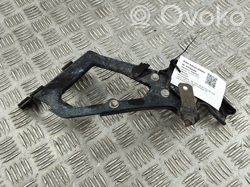 Muu korin osa