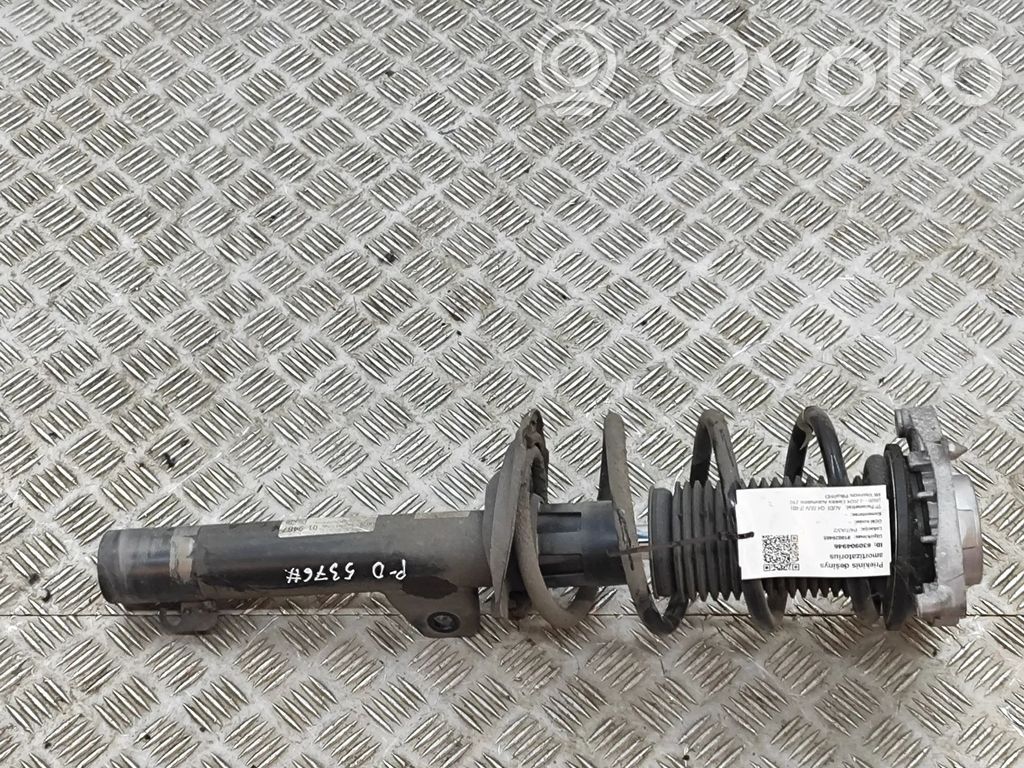Stoßdämpfer vorne   1EA412021,1EA412021GR