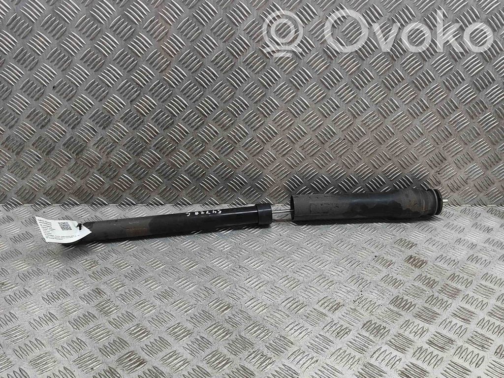 Amortizor spate   485300DF90