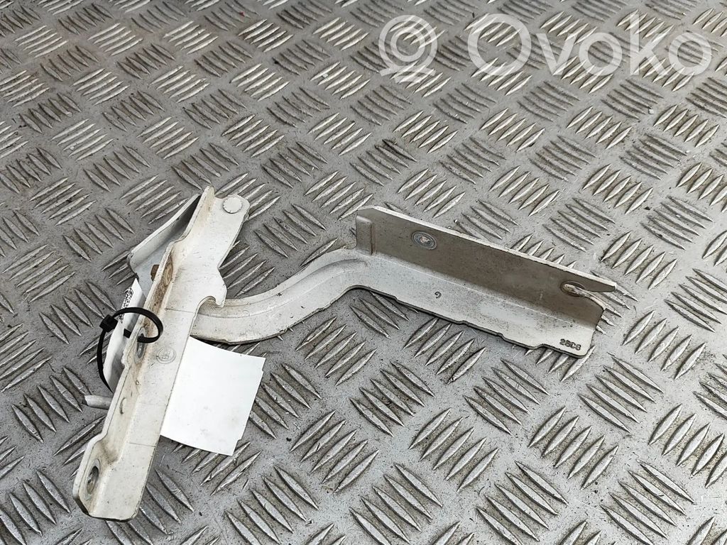 Citroen Jumpy Engine bonnet/hood hinges 