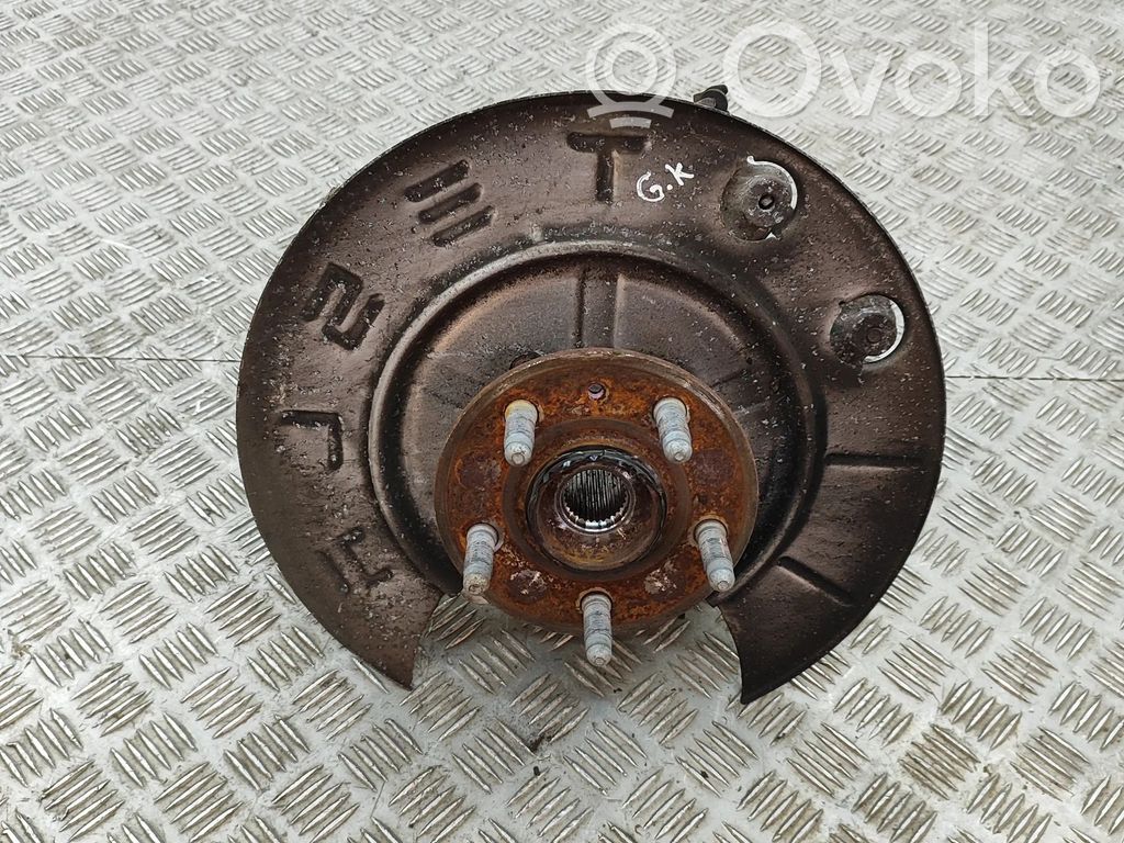 Galinė stebulė   102741100D