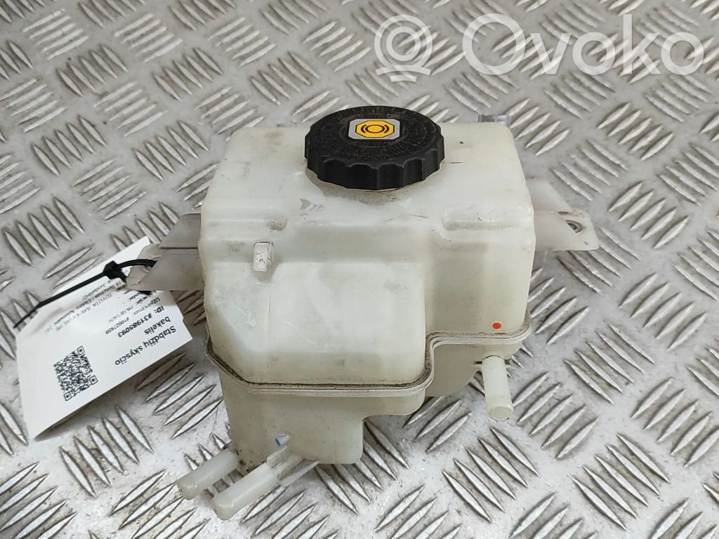 Toyota RAV 4 (XA50) Rezervor lichid frână 