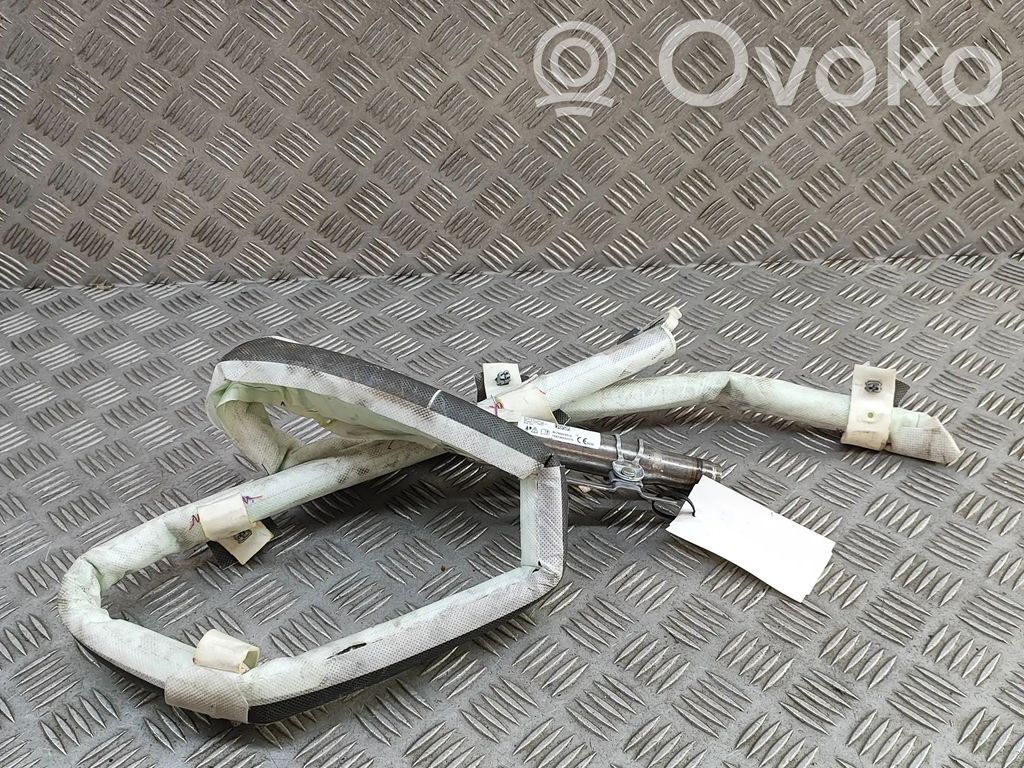 BMW X1 F48 F49 Airbag del techo 