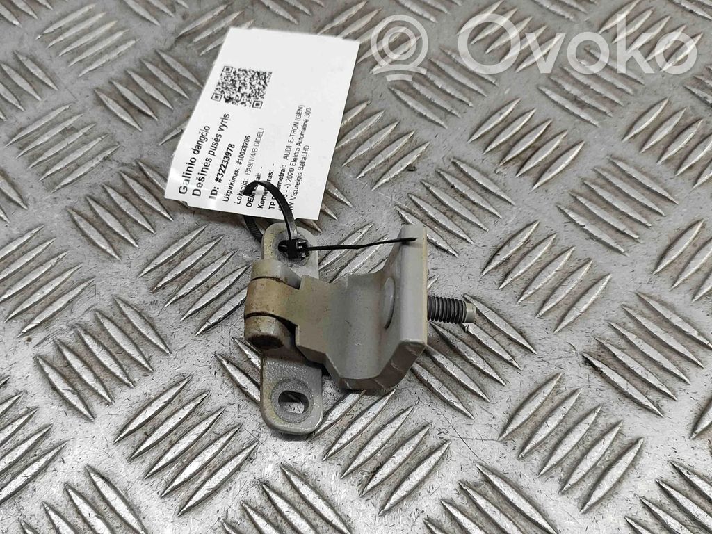 Audi e-tron Tailgate/trunk/boot hinge 