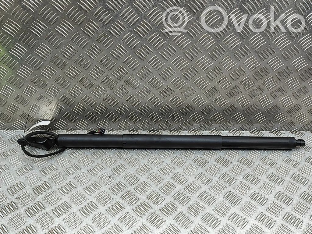 Porsche Cayenne (9Y0 9Y3) Ammortizzatore portellone posteriore/bagagliaio