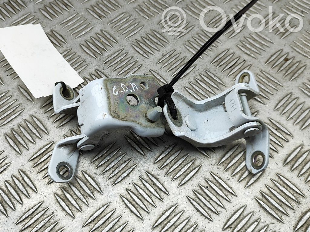 Ford Ranger Set balamale ușă spate 