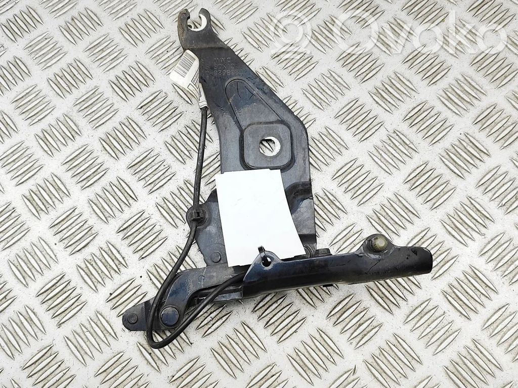 BMW X6 E71 Engine bonnet/hood hinges 