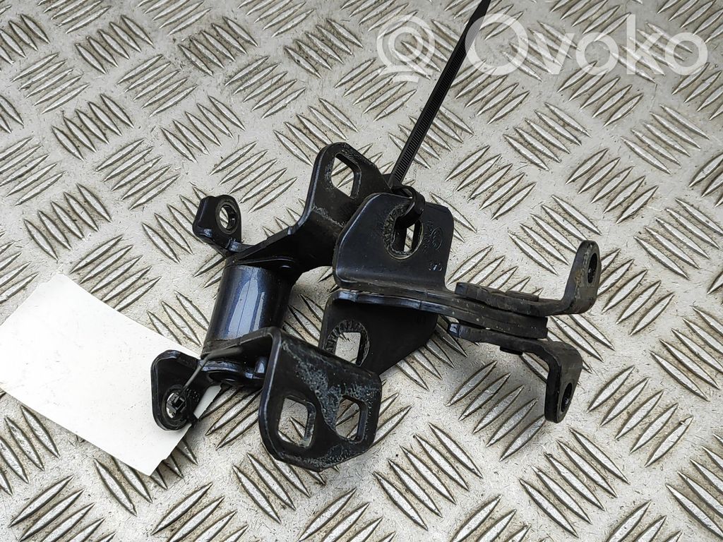 Tesla Model S Rear door hinge set 