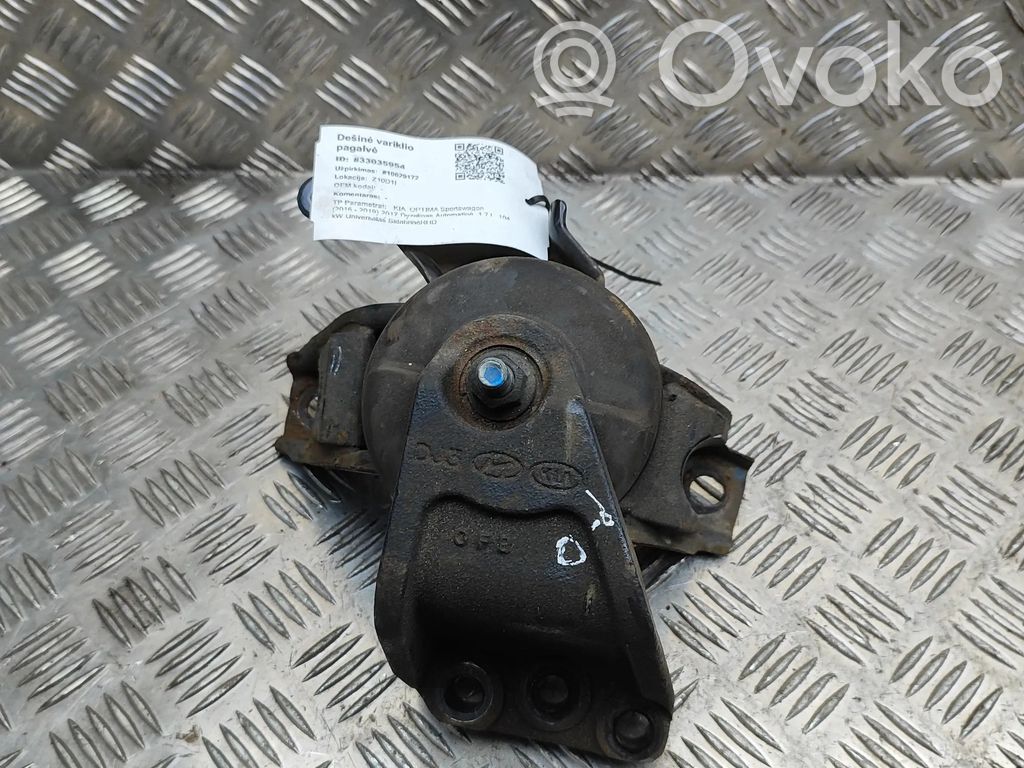 Suport tampon motor   21810D4000
