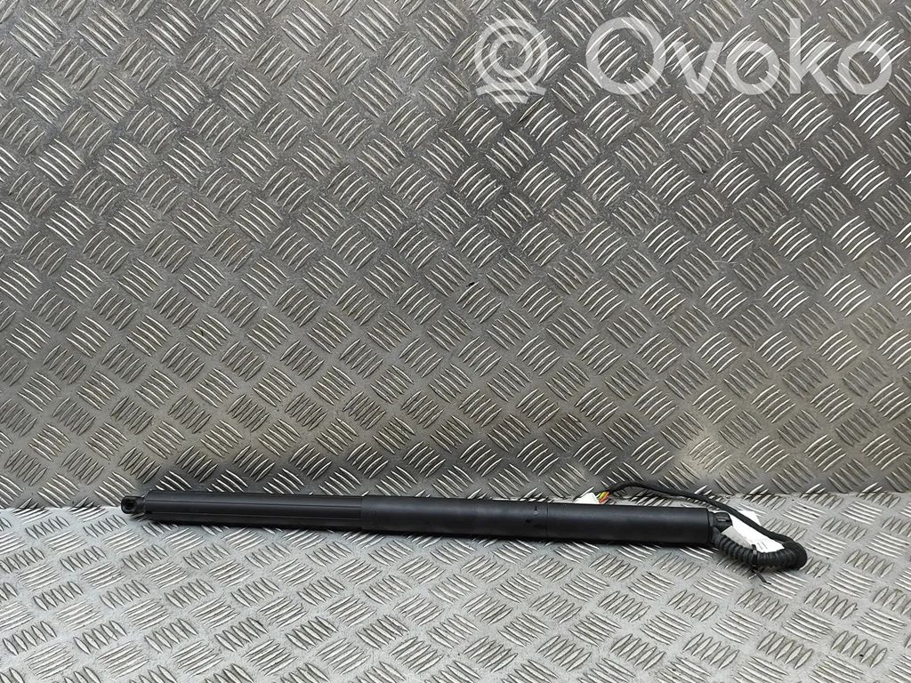Tesla Model Y Juniper Tailgate/trunk strut/damper 