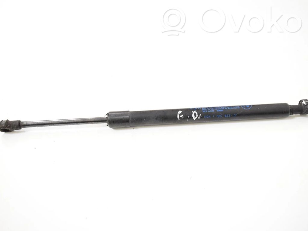 BMW 3 E90 E91 Ammortizzatore portellone posteriore/bagagliaio 