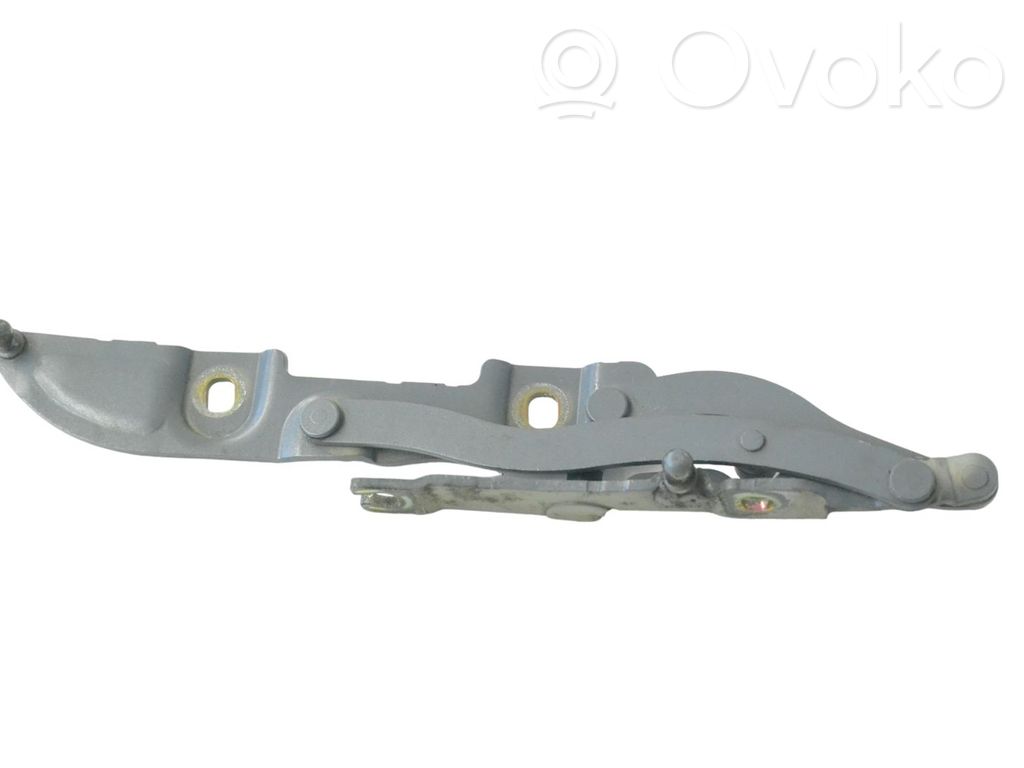 BMW 3 E46 Bisagra del maletero/compartimento de carga 