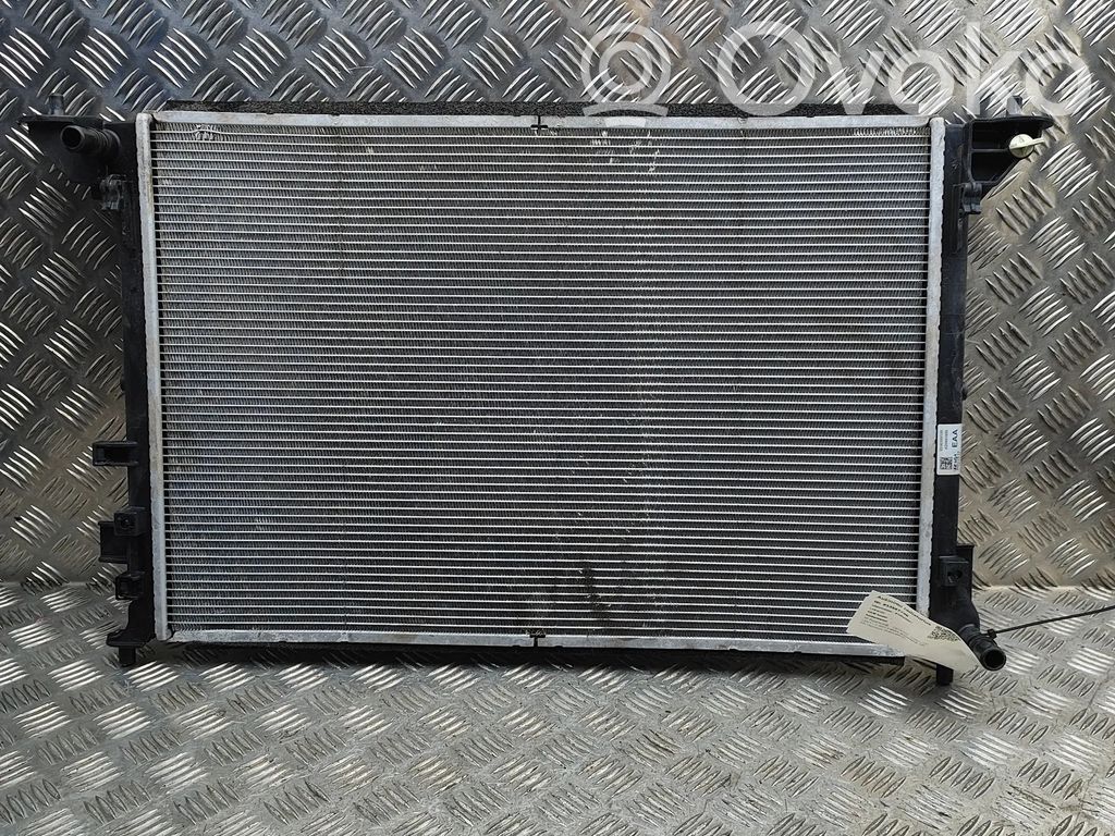 Radiatore di raffreddamento   253E0GI100