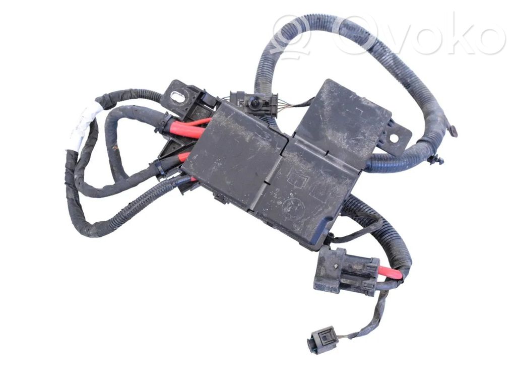 Polestar 2 Positive wiring loom 