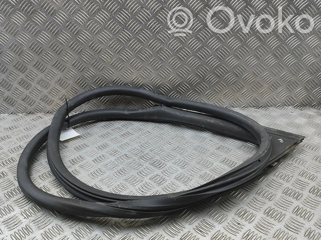 Porsche Taycan 9J1 Uszczelka drzwi przednich 