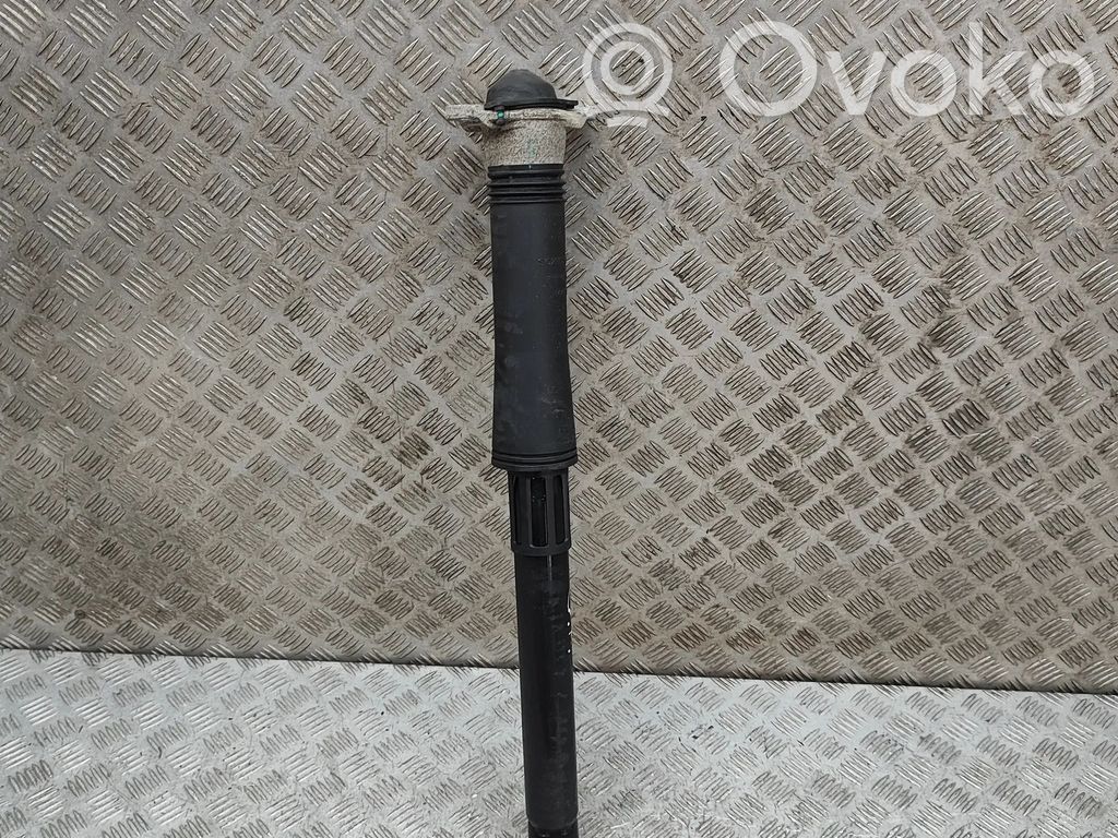 BYD Atto 3 Amortyzator tylny 