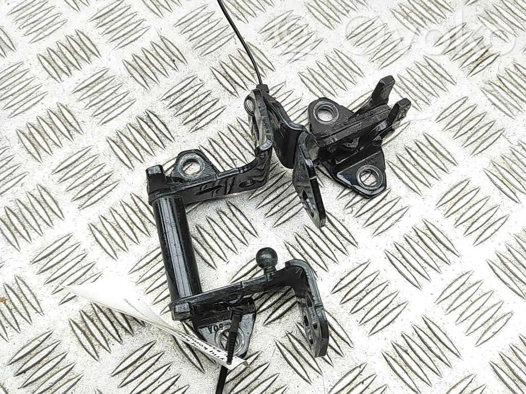 Tesla Model X Front door hinges set 