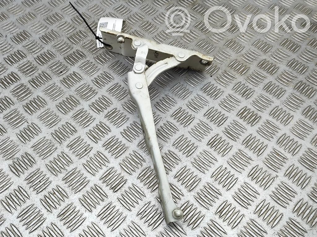 Engine bonnet/hood hinges   79110D4010