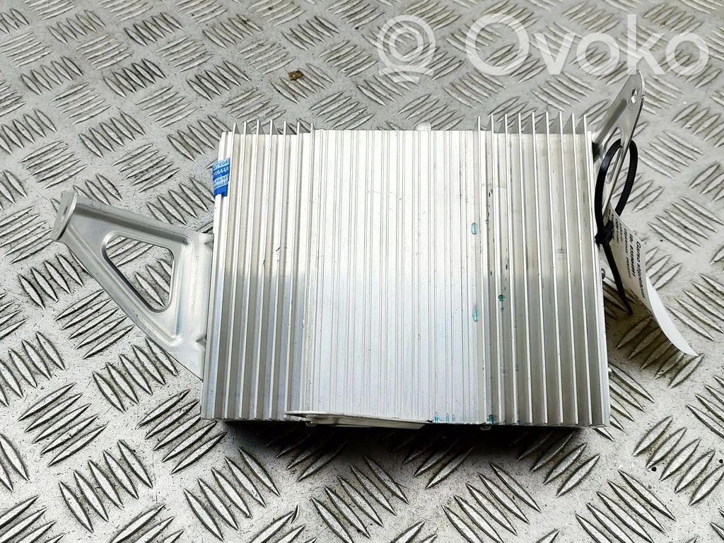 Tesla Model 3 Garso stiprintuvas 