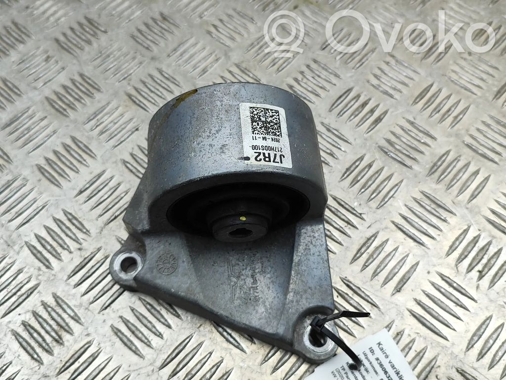 Support de moteur, coussinet   217H0DS100