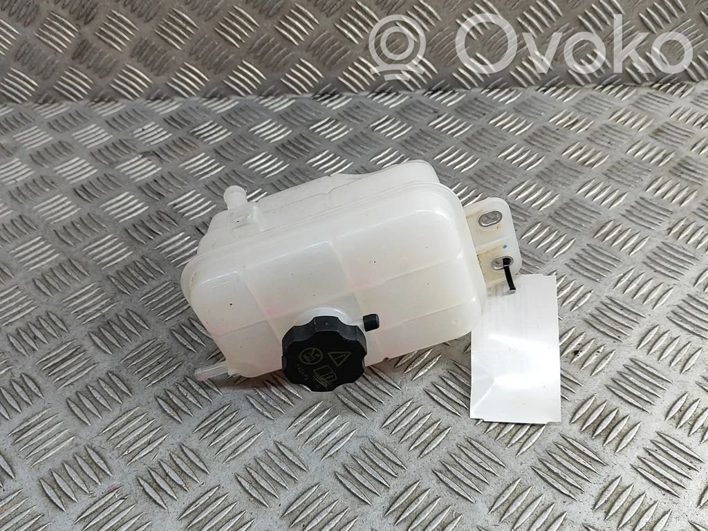 BYD Seal Aušinimo skysčio išsiplėtimo bakelis 