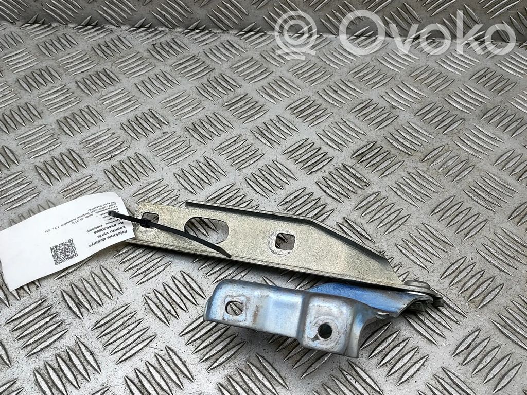Dzinēja pārsega eņģe (-es)   8T0823302E,8T0823302