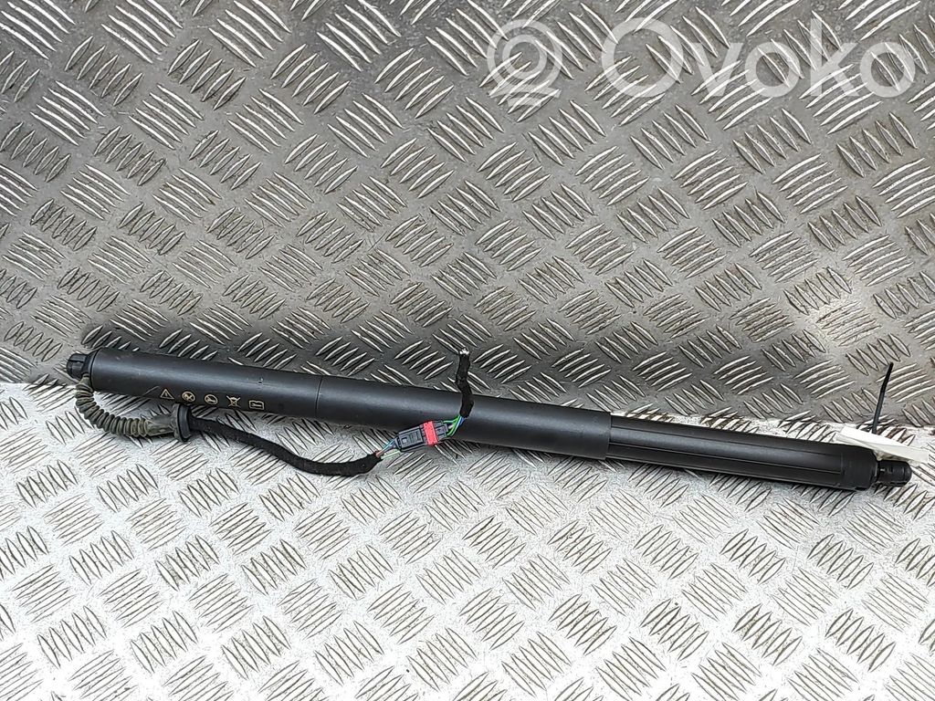 Cupra Leon Amortiguador/puntal del maletero/compartimento de carga
