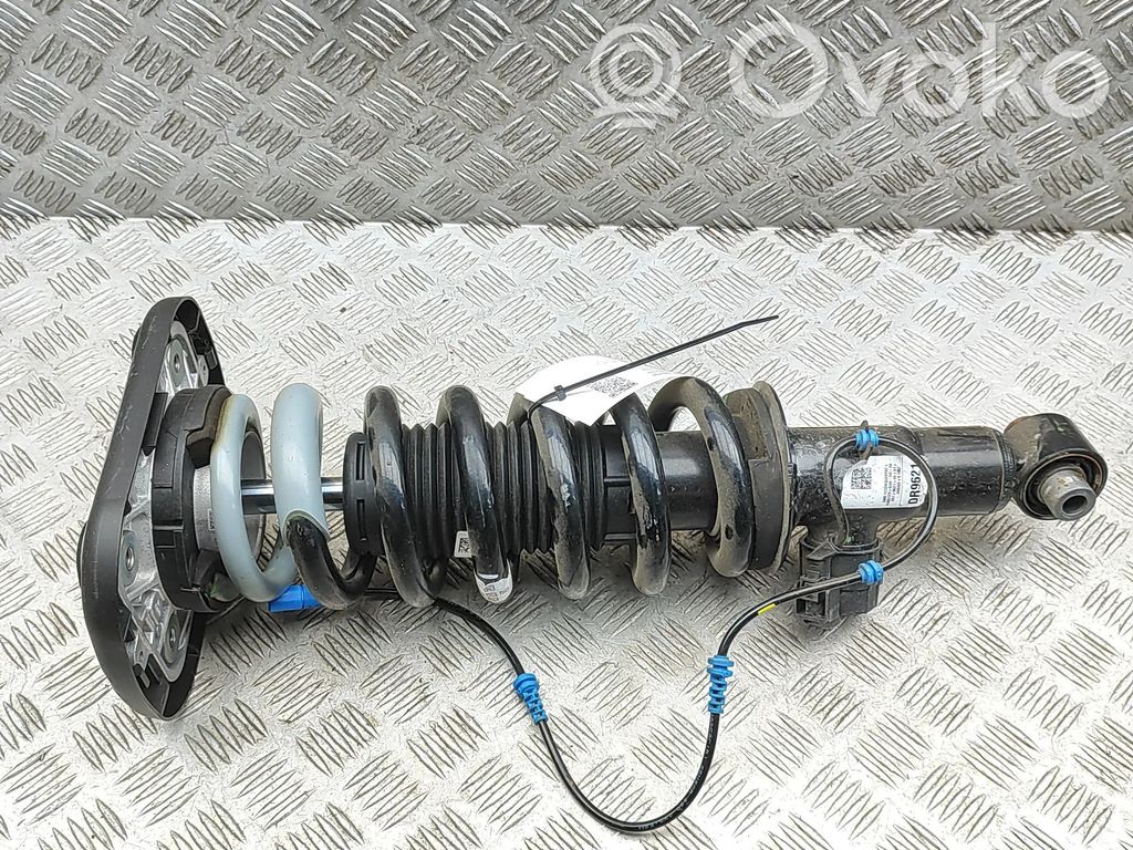 Ammortizzatore posteriore   8859462,5A3AE96