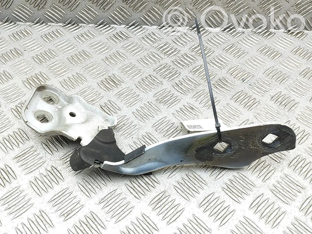 Tesla Model 3 Cerniere del vano motore/cofano