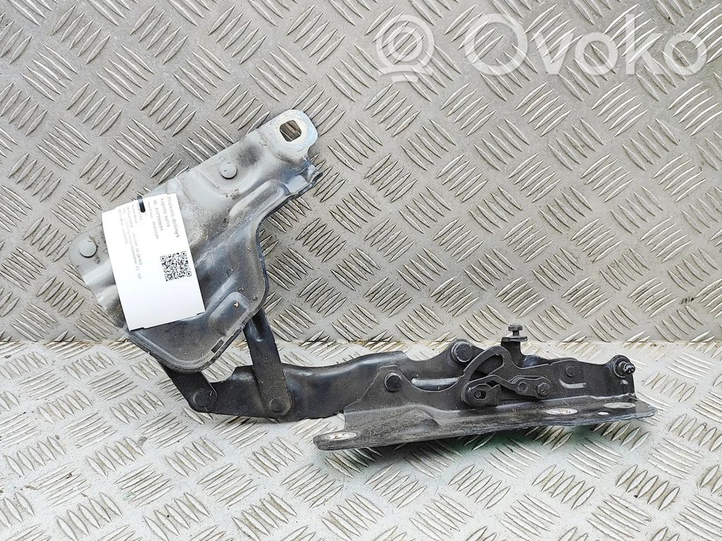 Jaguar XE Balamale capotă 