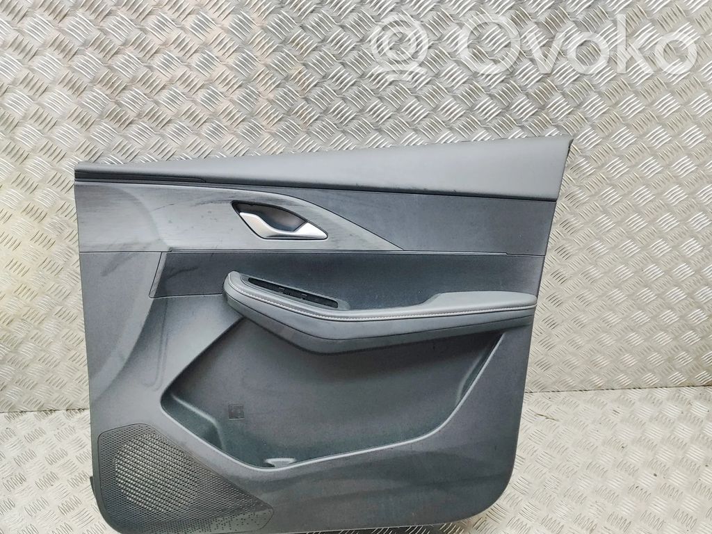 Chery 5/C5 Verkleidung Tür vorne