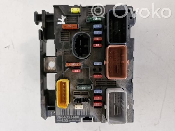 SAM control unit   9664055480,BSML0300