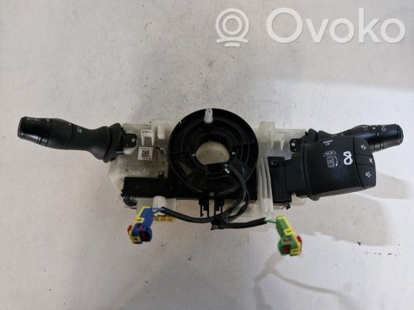 Multifunctional control switch/knob   255670016R