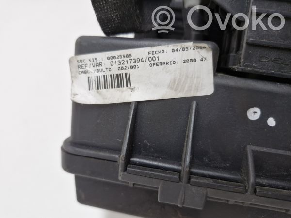SAM control unit   13217394,013217394001,EH