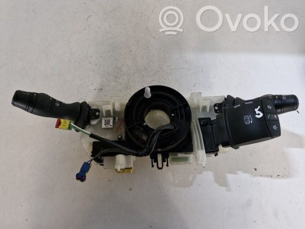 Multifunctional control switch/knob   255670019R