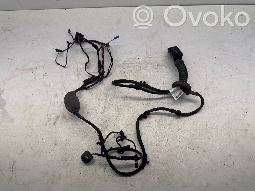 BMW X3 G01 Cableado de puerta trasera 