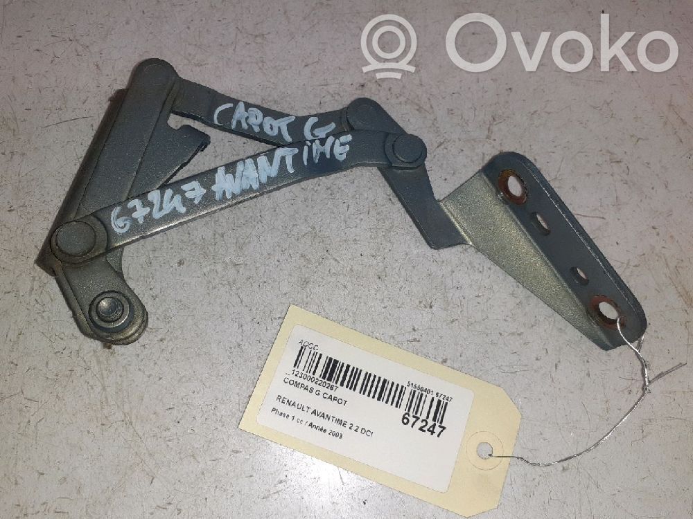 Renault Avantime Engine bonnet/hood hinges 