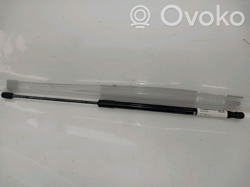 Tailgate/trunk strut/damper   2440270,2440270,2440270