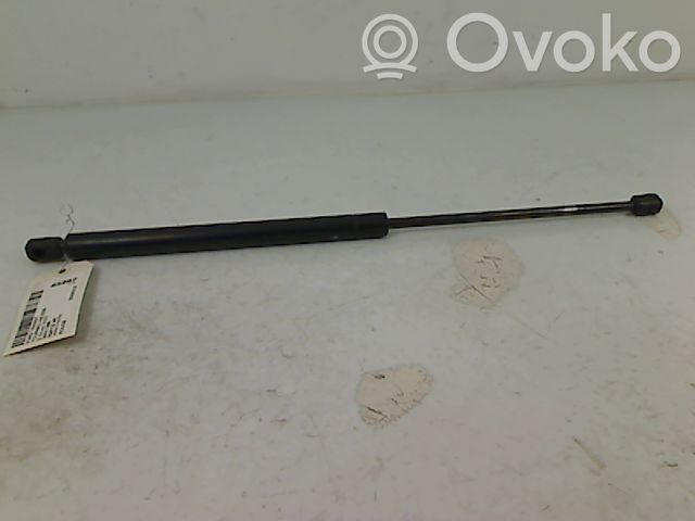 Ford Transit Tailgate/trunk strut/damper 