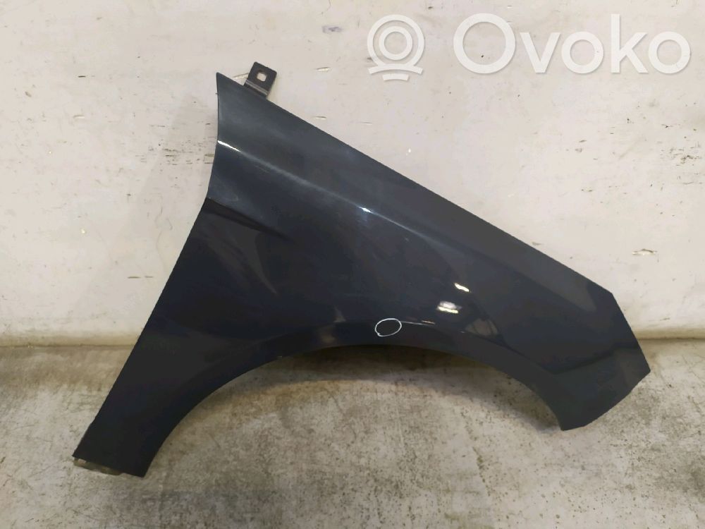 Fender   2171302,2171302