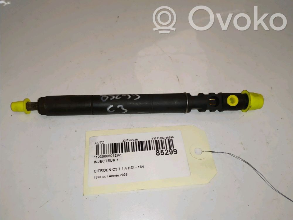 Citroen C3 Fuel injector 