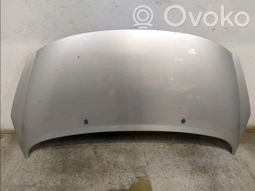 Motorhaube   7901N2,7901N2