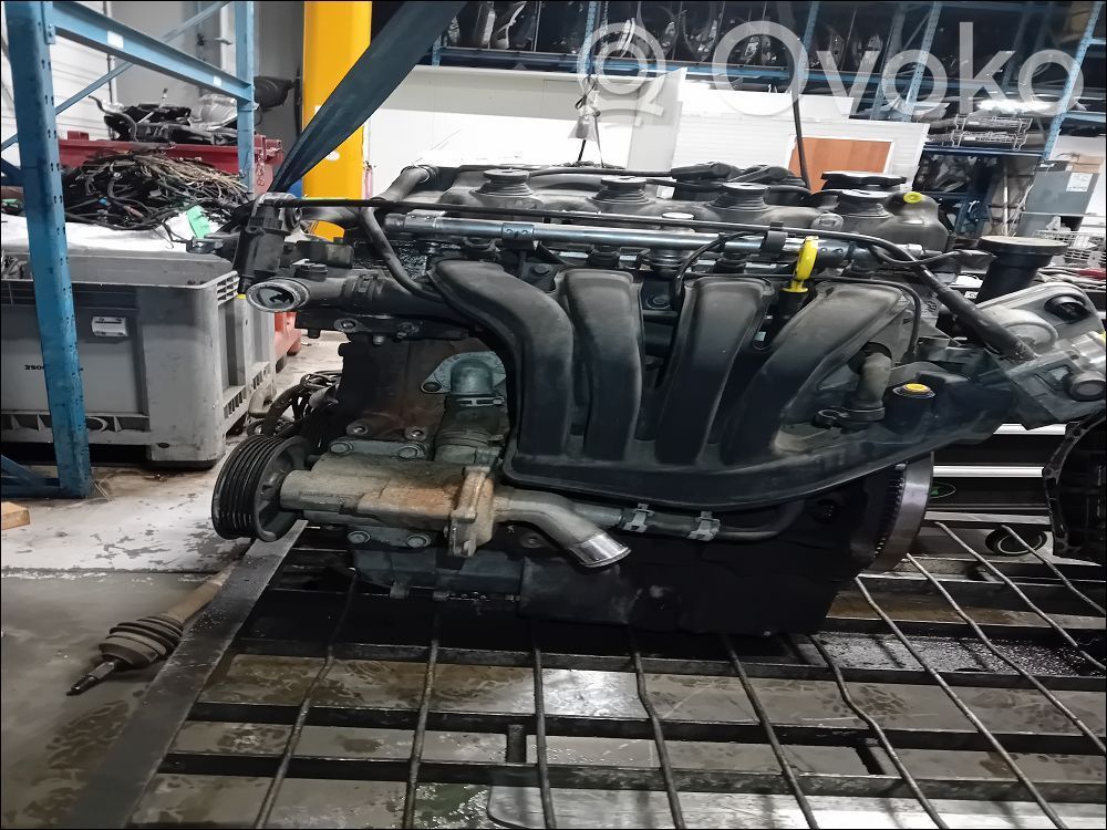 Motor   11000430231,11000430231