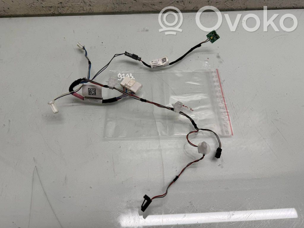 Tesla Model X Cableado de puerta trasera 