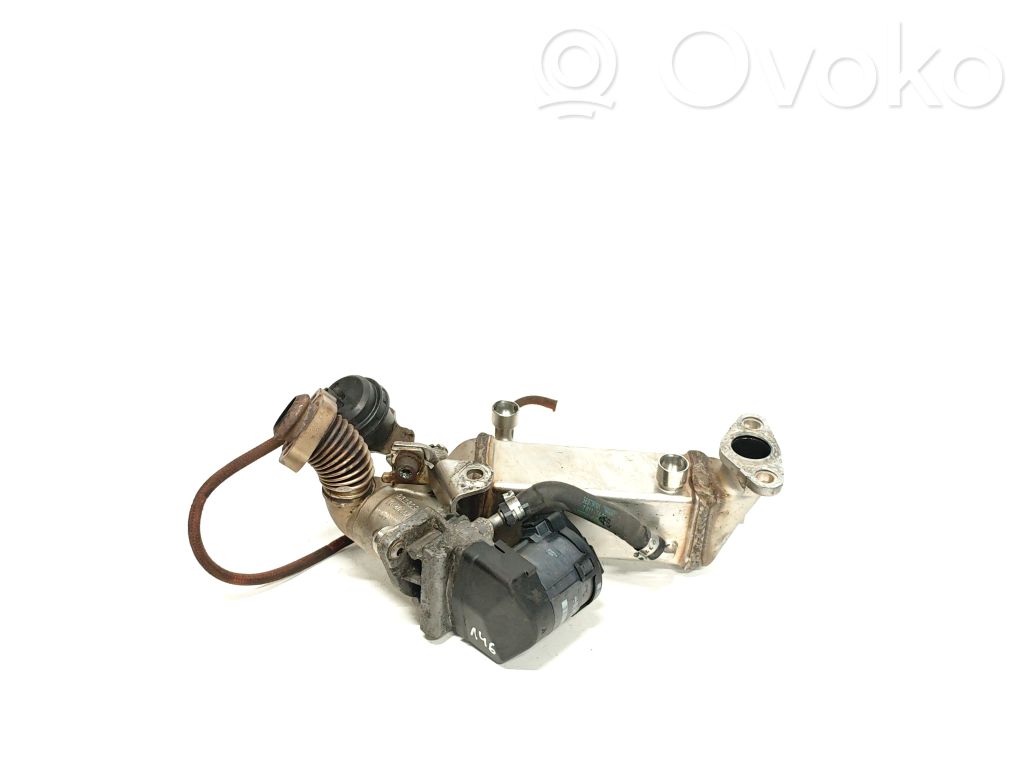 BMW 3 E90 E91 EGR dzesētājs 