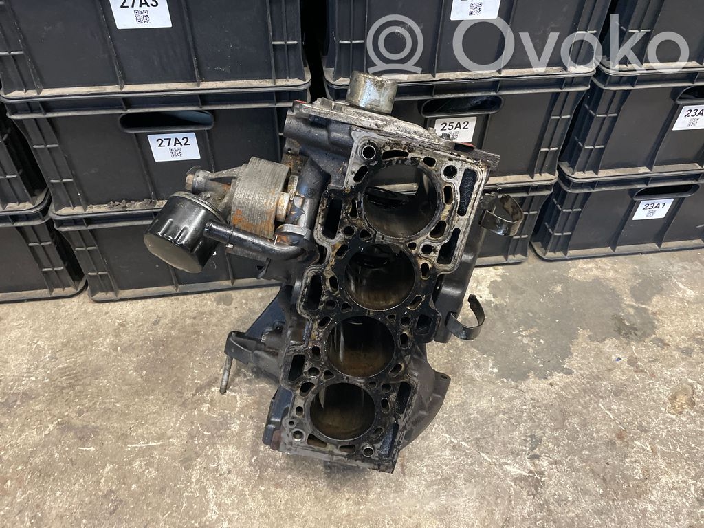 Nissan Juke I F15 Engine block 