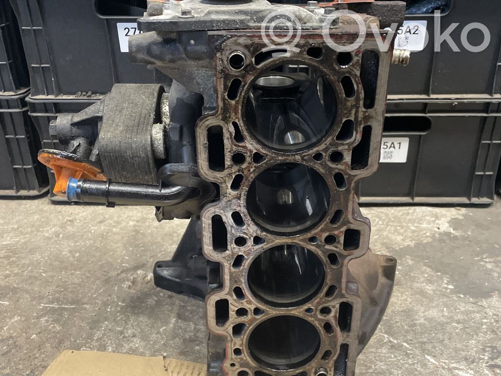 Nissan Juke I F15 Engine block 