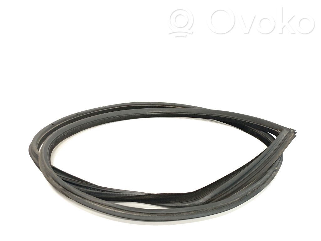 BMW 3 E92 E93 Front door rubber seal 