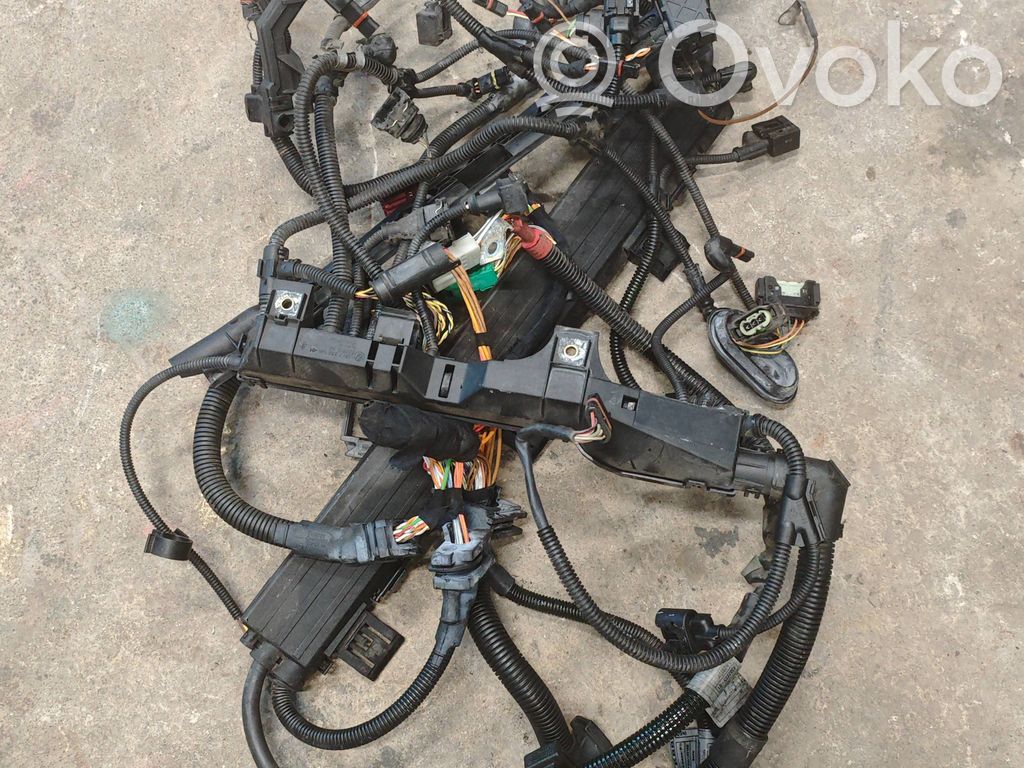 Engine installation wiring loom   7556146,53781210,12517556146