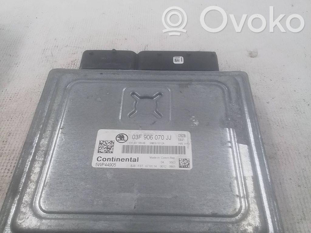 Skoda Yeti (5L) Engine control unit/module 